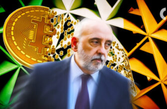 glava-centralnogo-banka-irlandii-vyrazhaet-opasenija-po-povodu-kriptovaljutnyh-ponci-shem-116f8dc - CryptoIt